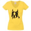 Lady-fit Valueweight V-Neck T-Shirt Thumbnail